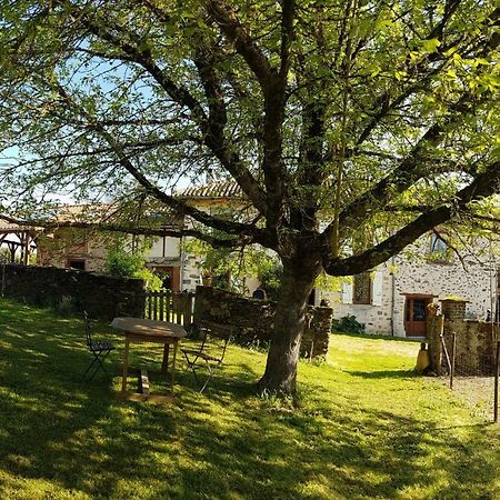 Bed and Breakfast La Fromagerie Saint-Martin-le-Vieux Exterior foto