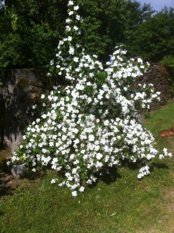 Bed and Breakfast La Fromagerie Saint-Martin-le-Vieux Exterior foto